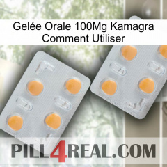 Gelée Orale 100Mg Kamagra Comment Utiliser 25